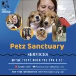 Pit bull rescue Texas