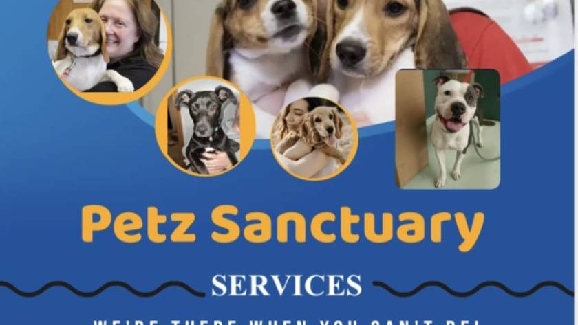 Pit bull rescue Texas